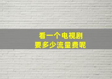 看一个电视剧要多少流量费呢