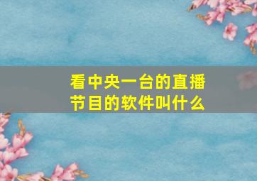 看中央一台的直播节目的软件叫什么