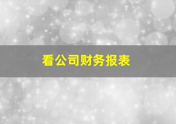 看公司财务报表