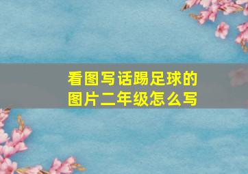 看图写话踢足球的图片二年级怎么写