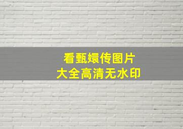 看甄嬛传图片大全高清无水印