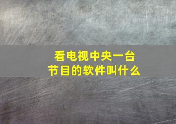 看电视中央一台节目的软件叫什么