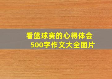 看篮球赛的心得体会500字作文大全图片