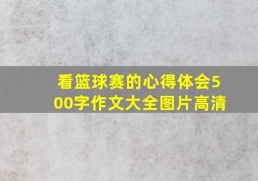 看篮球赛的心得体会500字作文大全图片高清