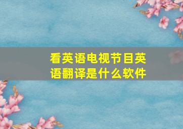 看英语电视节目英语翻译是什么软件