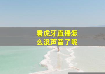 看虎牙直播怎么没声音了呢