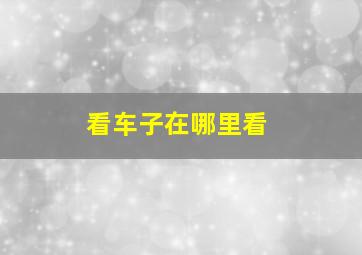 看车子在哪里看