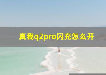 真我q2pro闪充怎么开