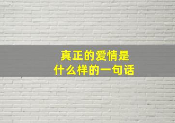 真正的爱情是什么样的一句话