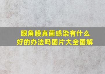 眼角膜真菌感染有什么好的办法吗图片大全图解