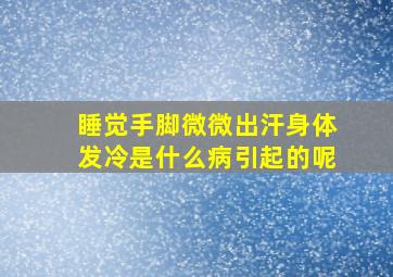 睡觉手脚微微出汗身体发冷是什么病引起的呢