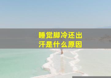 睡觉脚冷还出汗是什么原因