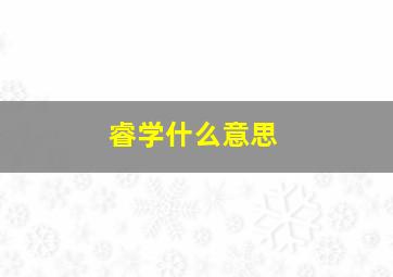 睿学什么意思