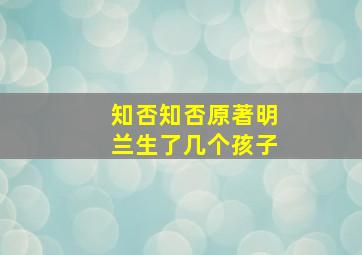 知否知否原著明兰生了几个孩子