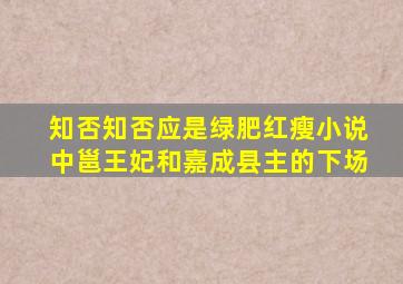 知否知否应是绿肥红瘦小说中邕王妃和嘉成县主的下场