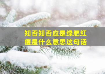 知否知否应是绿肥红瘦是什么意思这句话