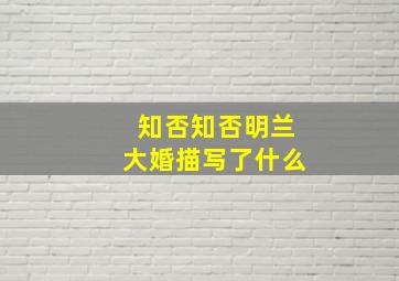 知否知否明兰大婚描写了什么