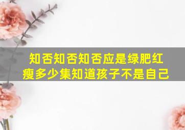 知否知否知否应是绿肥红瘦多少集知道孩子不是自己