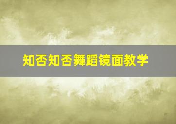 知否知否舞蹈镜面教学