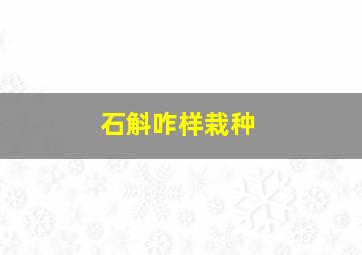 石斛咋样栽种