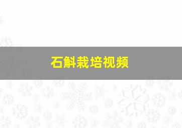 石斛栽培视频