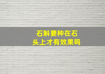 石斛要种在石头上才有效果吗