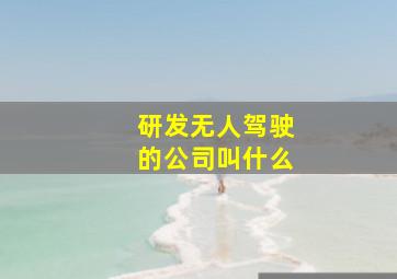 研发无人驾驶的公司叫什么