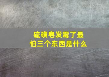 硫磺皂发霉了最怕三个东西是什么