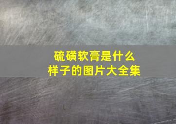 硫磺软膏是什么样子的图片大全集