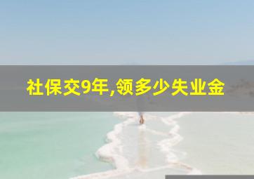 社保交9年,领多少失业金