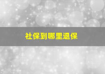 社保到哪里退保