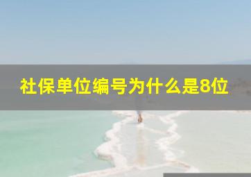 社保单位编号为什么是8位