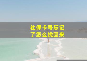 社保卡号忘记了怎么找回来