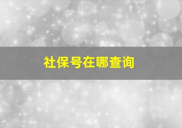 社保号在哪查询