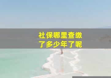 社保哪里查缴了多少年了呢