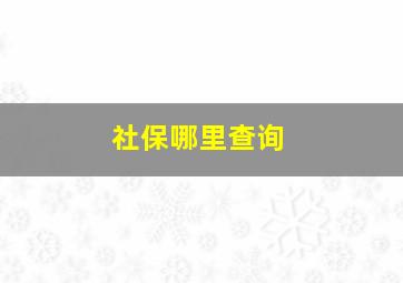 社保哪里查询