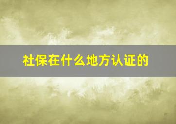 社保在什么地方认证的