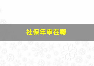 社保年审在哪