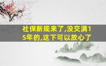 社保新规来了,没交满15年的,这下可以放心了