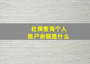 社保查询个人账户余额是什么