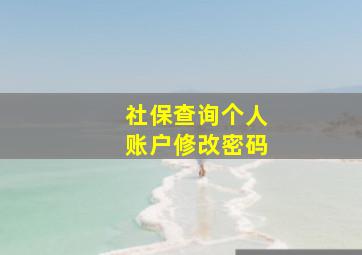 社保查询个人账户修改密码