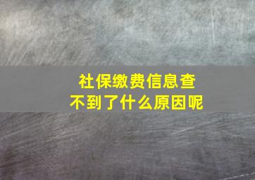 社保缴费信息查不到了什么原因呢