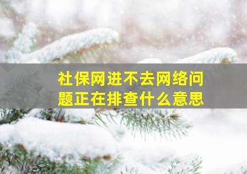 社保网进不去网络问题正在排查什么意思