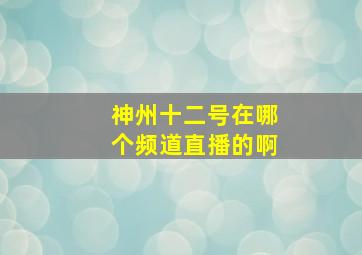 神州十二号在哪个频道直播的啊