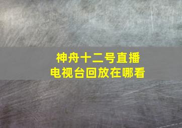 神舟十二号直播电视台回放在哪看