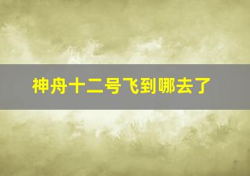 神舟十二号飞到哪去了