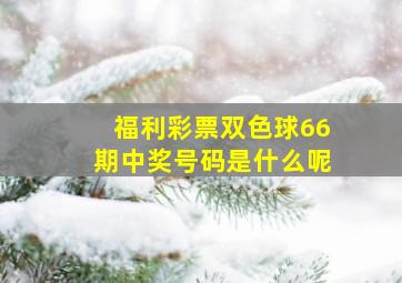 福利彩票双色球66期中奖号码是什么呢