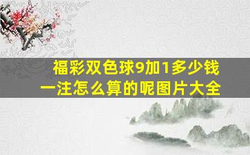 福彩双色球9加1多少钱一注怎么算的呢图片大全