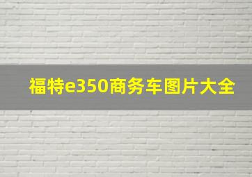 福特e350商务车图片大全