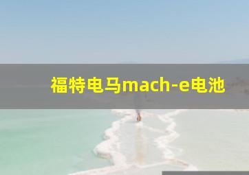 福特电马mach-e电池